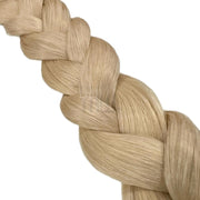 24A Champagnerblond Asch