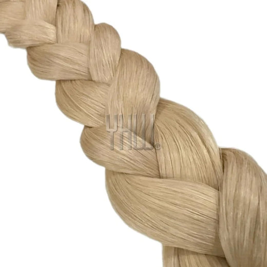 24A Champagnerblond Asch